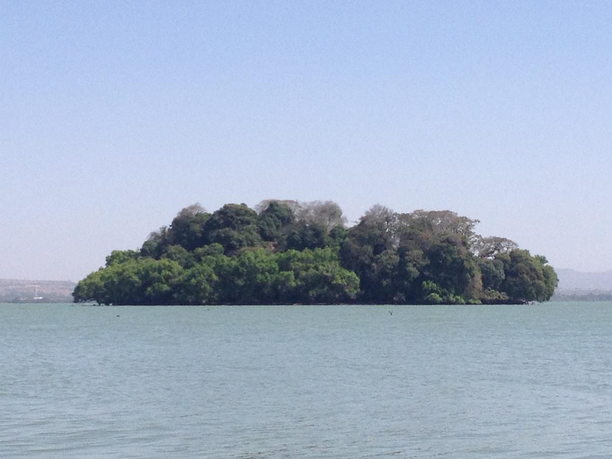 Lakemark Hotel And Tour Service Bahir Dar Kültér fotó