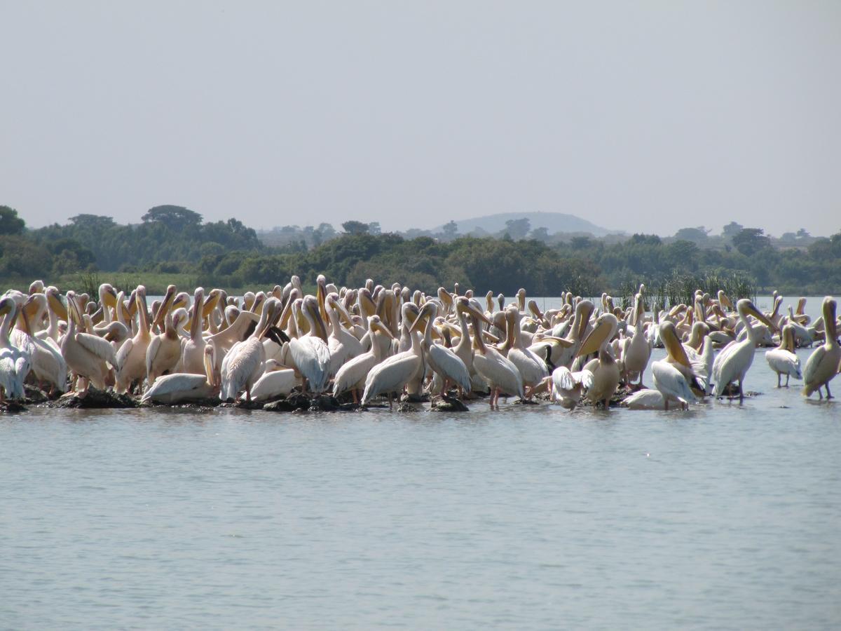 Lakemark Hotel And Tour Service Bahir Dar Kültér fotó