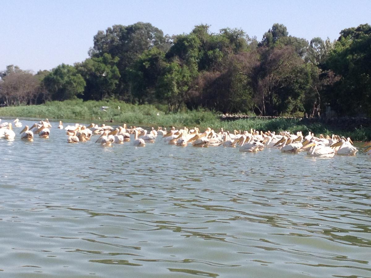 Lakemark Hotel And Tour Service Bahir Dar Kültér fotó